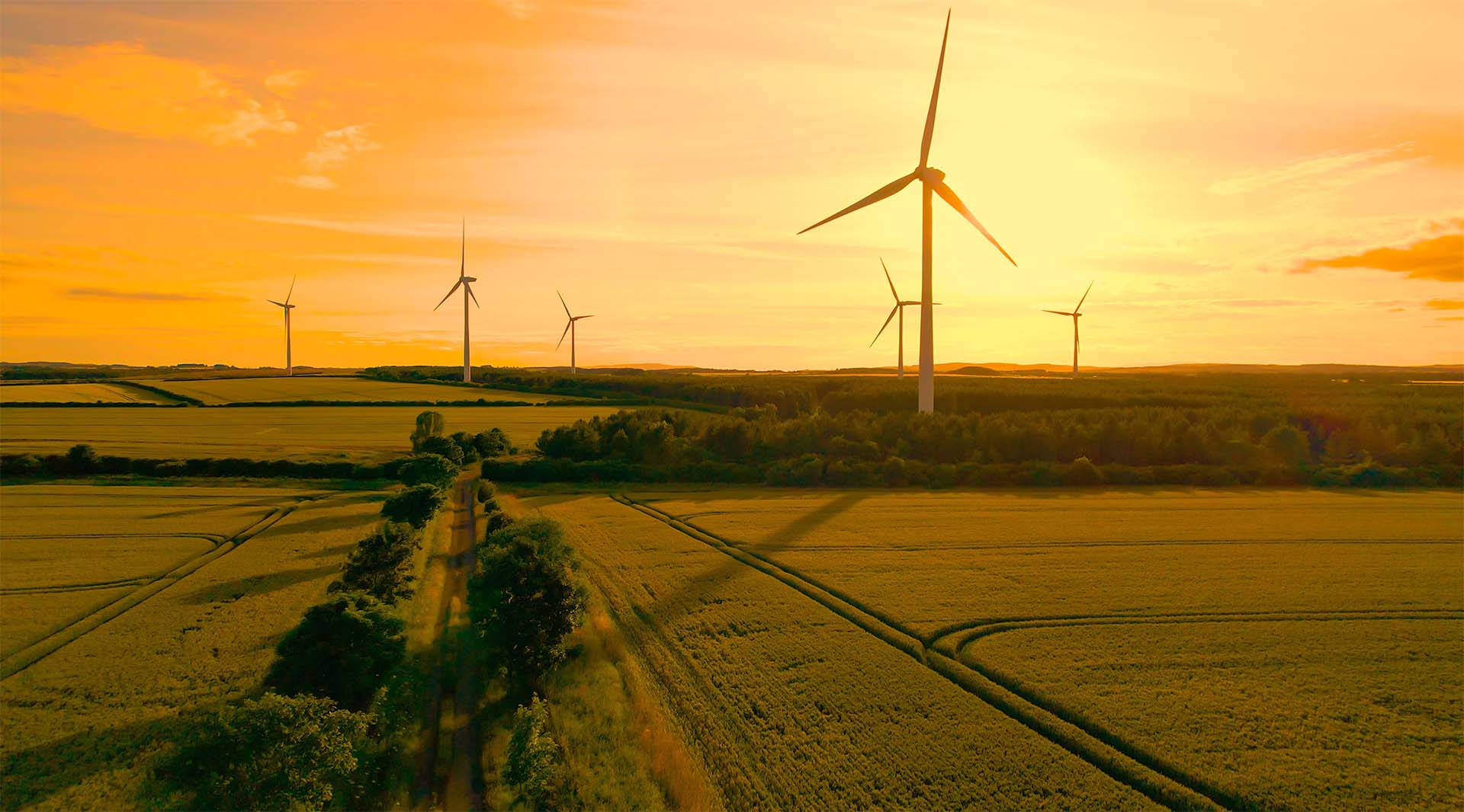 Wind turbine field at sunset.